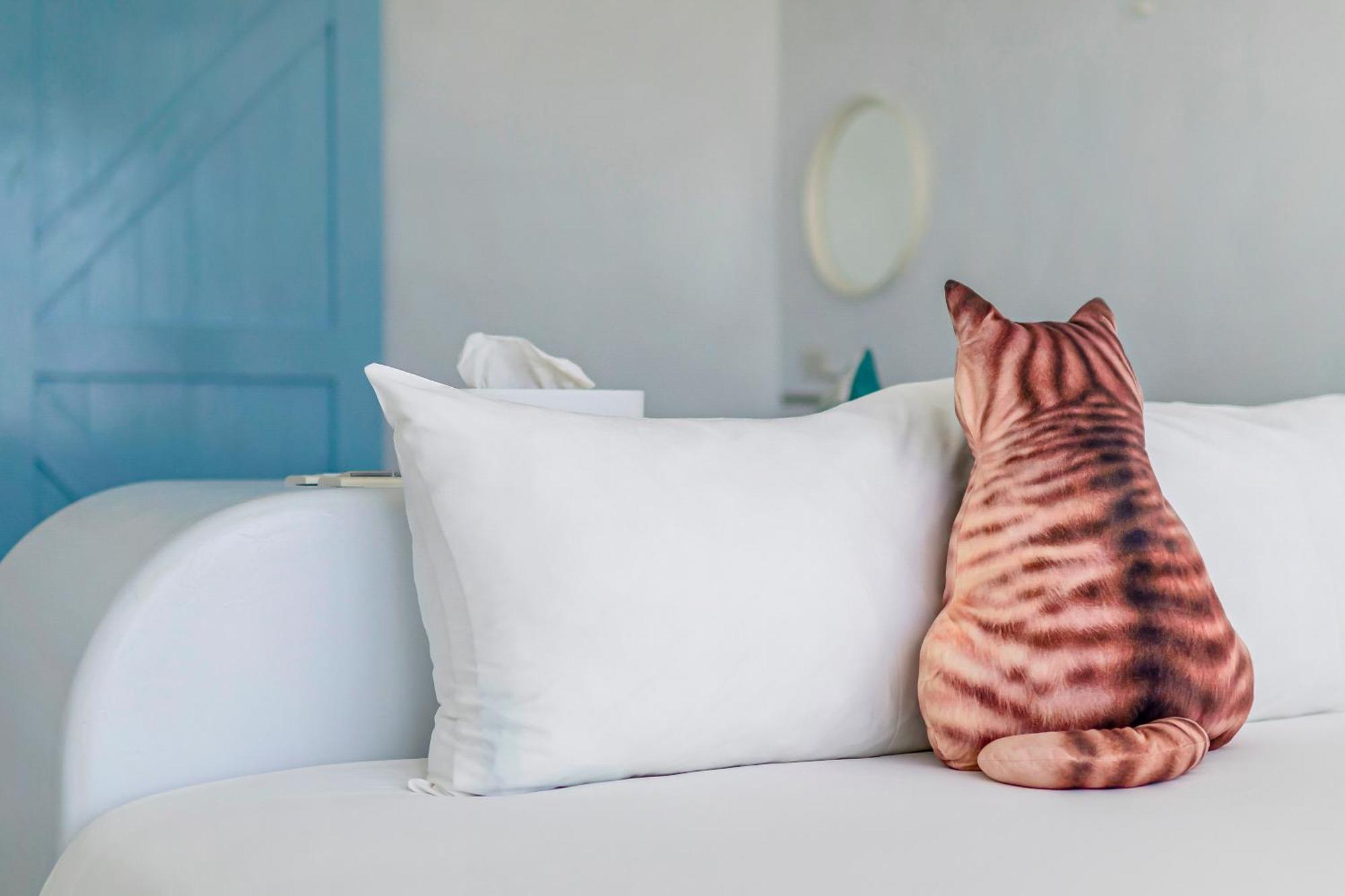 Bed and Breakfast Cat At Greece Нанвань Екстер'єр фото